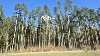 durch den Woliner Nationalpark