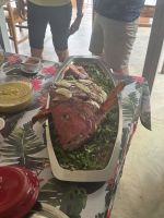 Red Snapper vom Grill