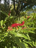 ...im botanischen Garten (3)