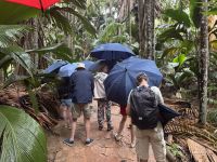 ...im Vallee de Mai (8)