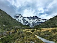 Wir machen eine Wanderung auf dem Kea Trail zum Gletschermassiv