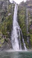 Stirling Falls, Milford Sound 