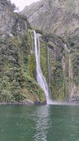 Stirling Falls, Milford Sound 