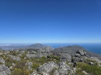 Eindrücke vom Tafelberg (17)