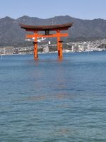 auf der Insel Miyajima