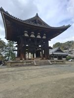 Ausflug nach Nara