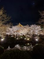 Toji-Tempel in Kyoto - illuminierter Garten