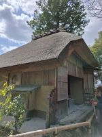 beim Goldenen Pavillon (Kinkakuji) in Kyoto