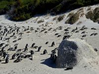 Boulders Beach