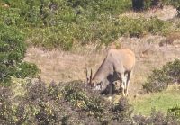 Cape National Park
