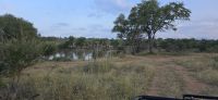 Prideland Safari (25)