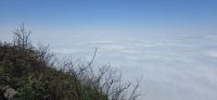 Wonder View (1)