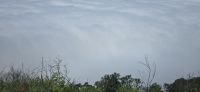 Wonder View (3)