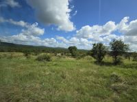 Streckenbegleitung (7)