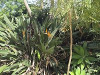 Streckenbegleitung (13)