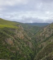 Land und Tierbegegnungen (2)