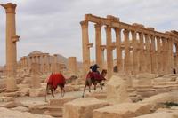 IMG_8330_Säulenstraße Palmyra