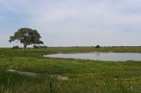 4. Tag - Etosha Nationalpark (11)