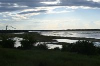 10. Tag - Chobe Nationalpark (21)