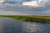 10. Tag - Chobe Nationalpark (52)