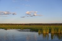 10. Tag - Chobe Nationalpark (53)