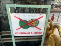 Schild Durian verboten, George Town, Malaysia.jpeg
