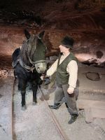 Salzbergwerk Wielicka