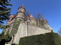 Blick auf das Schloss vom Park