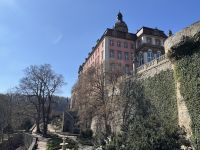 Schlosspark mit Schloss