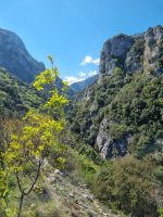 Wanderung am Fuße des Olymp - Litochoro (Enipeas-Schlucht)