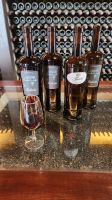Bodega Rubicon   Weinprobe