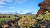 Der Grüne Norden von Lanzarote