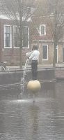 Sneek