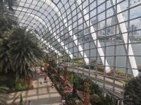 Singapur, der Flower Dome, mit 1,28 ha größtes Glasgewächshaus der Welt im Guinness-Buch der Rekorde..