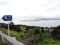 Blick auf Hokianga Harbour und Sanddüne