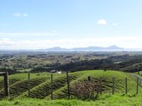 Fotostopp auf dem Weg nach Auckland