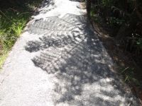 Cathedral Cove, Schattenspiel