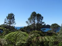 Cathedral Cove, Blick in die Ferne