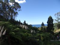 Cathedral Cove, nun geht es wieder zum Bus.