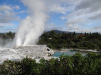 Te Puia, ein Geysir schießt nach oben.