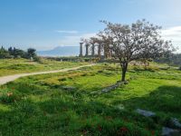 Alt-Korinth - Apollontempel 