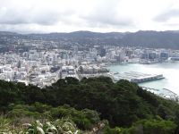 Wellington, Blick vom Mount Victoria auf die Stadt
