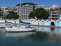 Wellington, hier parken die kleineren Boote.