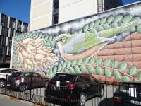 Christchurch, Wandgemälde schmücken die kahlen Stellen, die das Erdbeben hinterlassen hat.