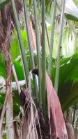 Eine Schnecke darf nicht fehlen