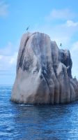 vom Boot aus fotografiert
