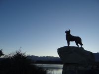 Lake Tekapo, Denkmal für die Hütehunde an der Kirche zum Guten Hirten
