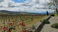 Weingut Quinta da Avessad