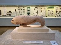 Olympia - Museum (Löwe aus Kalkstein, der wahrscheinlich an einem Brunnen als Wasserspeicher gedient hat)