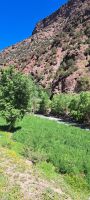 Ourika Tal